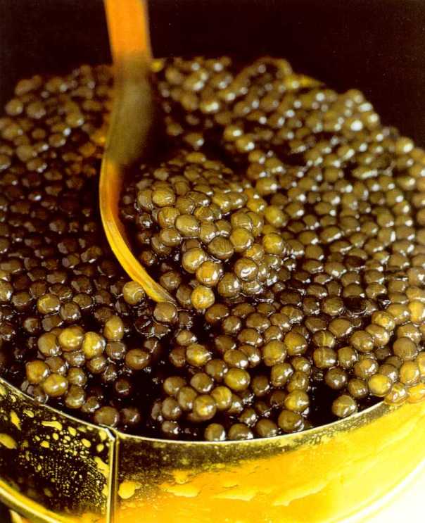 caviar_in_jar2